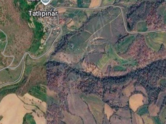 Kofçaz, Kirklareli içerisinde satılık Arsa