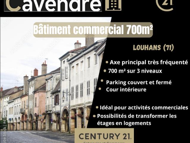 Local Commercial vente à Louhans-Châteaurenaud, Louhans