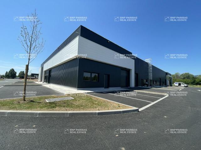 Local Commercial vente à Sélestat-Erstein, Goxwiller