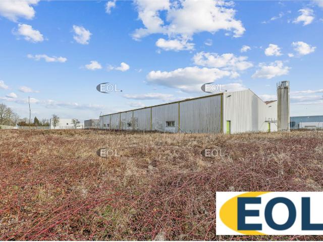 Local Commercial vente à Thann-Guebwiller, Burnhaupt-le-bas