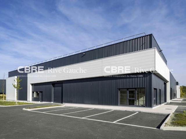Local Commercial vente à Sélestat-Erstein, Goxwiller