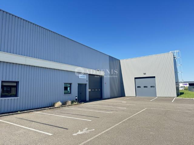Local Commercial vente à Haguenau-Wissembourg, Hoerdt