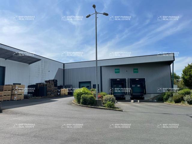 Local Commercial vente à Châtellerault
