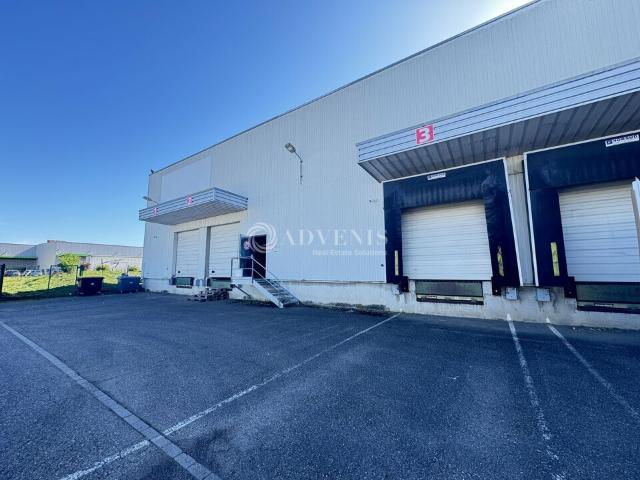 Local Commercial vente à Haguenau-Wissembourg, Hoerdt