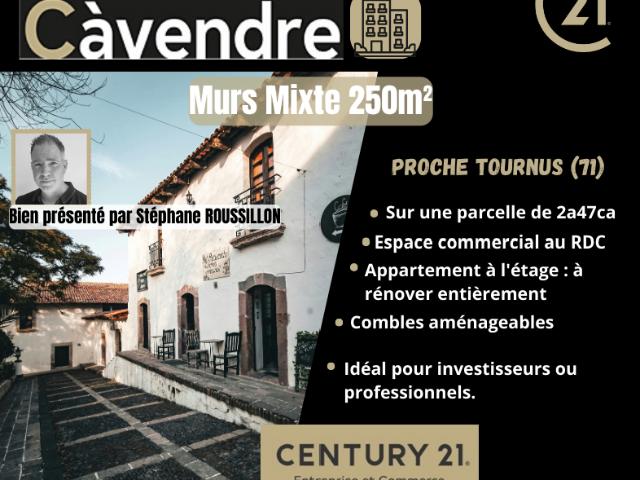 Local Commercial vente à Louhans-Châteaurenaud, Cuisery