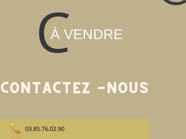 Local Commercial vente à Louhans-Châteaurenaud, Cuisery