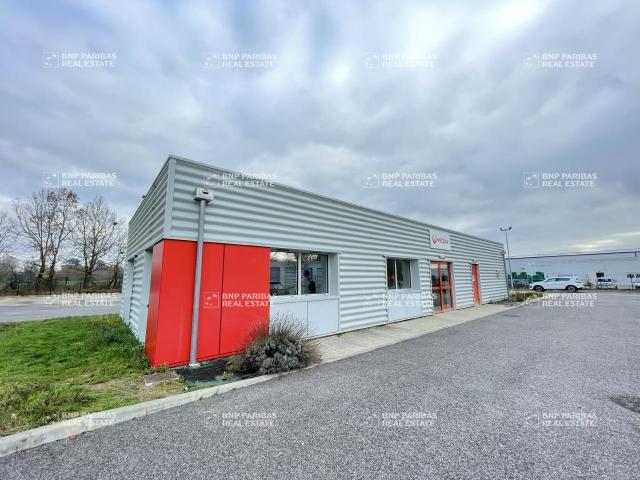 Local Commercial vente à Toulouse, Villematier