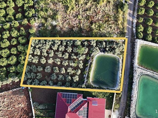 Erdemli, Mersin içerisinde satılık Arsa