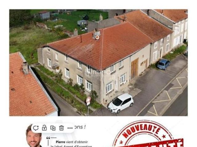 Maison vente à Sarrebourg-Château-Salins, Hampont