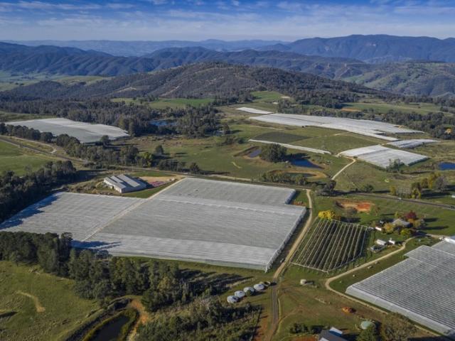 Property for sale in Batlow, New South Wales