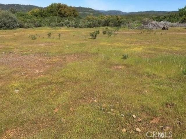 Land for sale in Butte, California