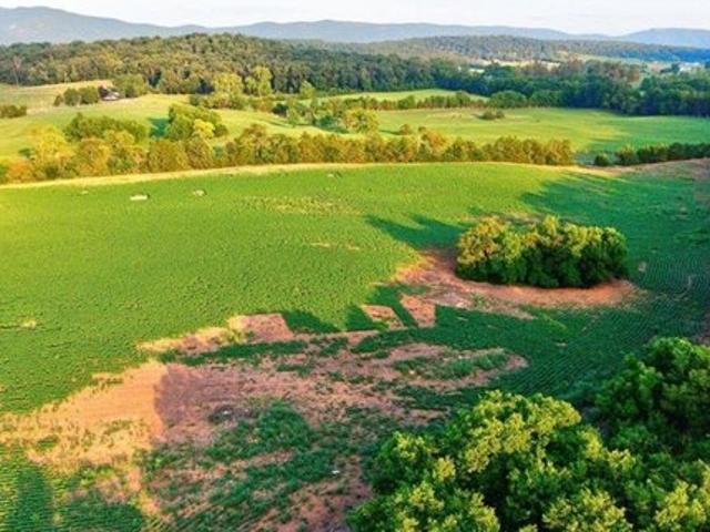 Land for sale in Virginia
