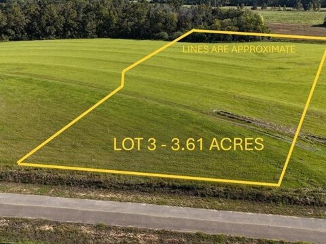 Land for sale in Ashford, Alabama