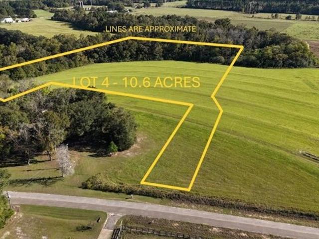 Land for sale in Ashford, Alabama