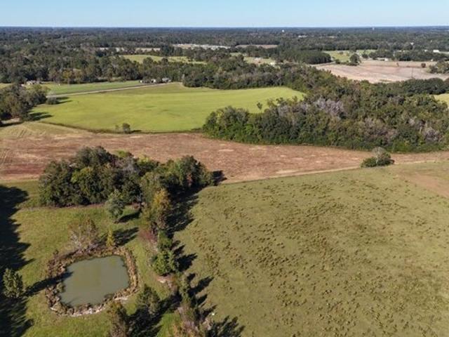Land for sale in Ashford, Alabama