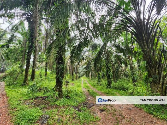 Shop for sale in Selayang, Selangor