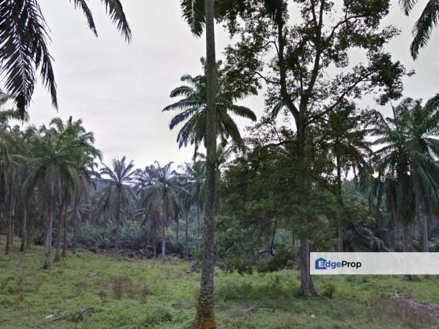 Shop for sale in Batu Arang, Majlis Perbandaran Selayang
