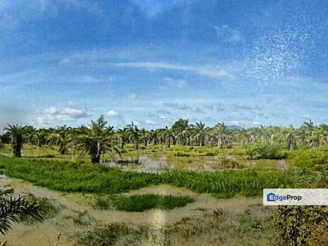 Shop for sale in Batu Pahat, Johor
