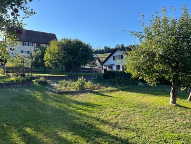 Einfamilienhaus kaufen in Courtemaîche, Basse-Allaine