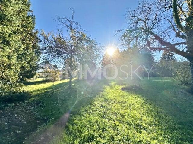 Grundstück kaufen in Fußach, Vorarlberg