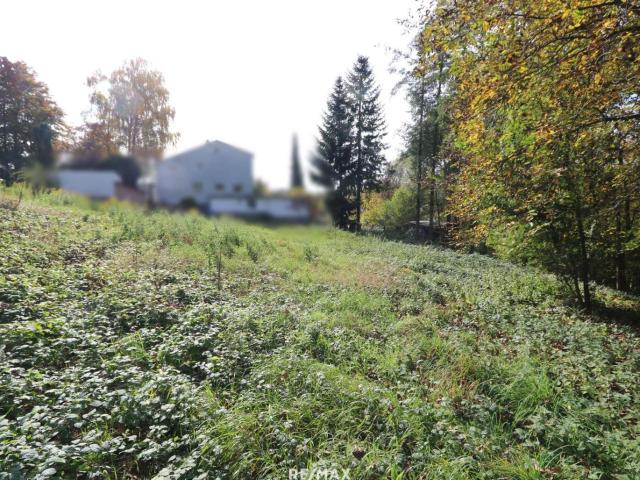 Grundstück kaufen in Thalheim bei Wels, Oberösterreich