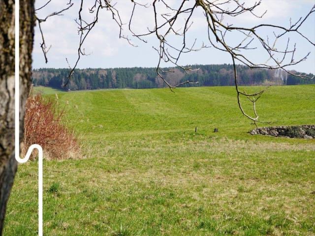 Immobilie kaufen in Ibm, Eggelsberg