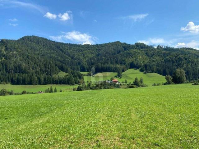 Immobilie kaufen in Weyer, Oberösterreich
