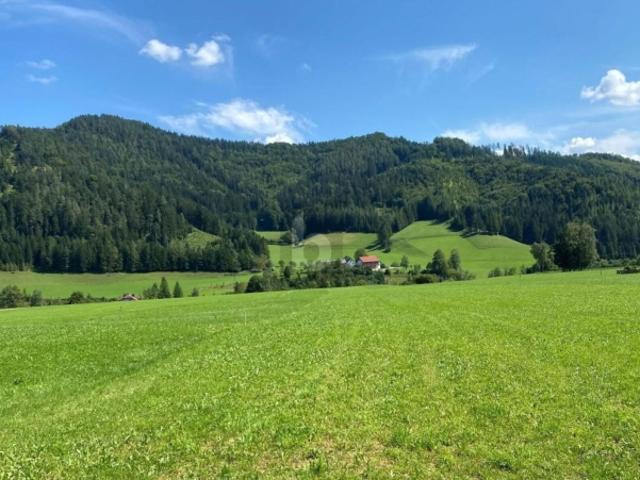 Grundstück kaufen in Weyer, Oberösterreich