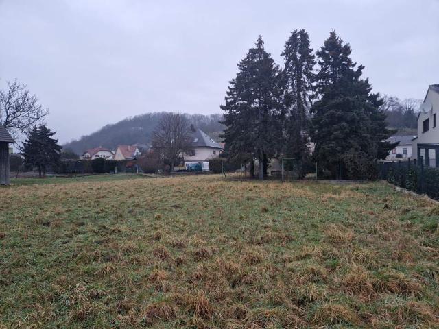 Grundstück kaufen in Korneuburg, Niederösterreich
