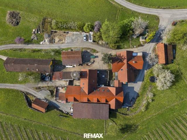 Haus kaufen in Kaindorf an der Sulm