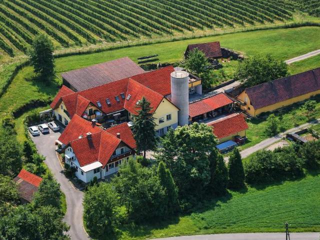 Haus kaufen in Kaindorf an der Sulm