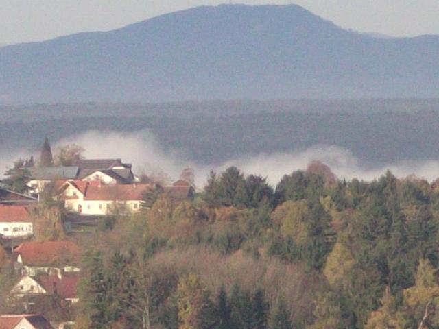 Haus mieten in Stegersbach Haus mieten in Stegersbach