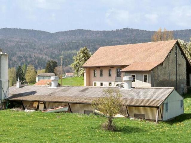 Haus kaufen in Longirod, Waadt