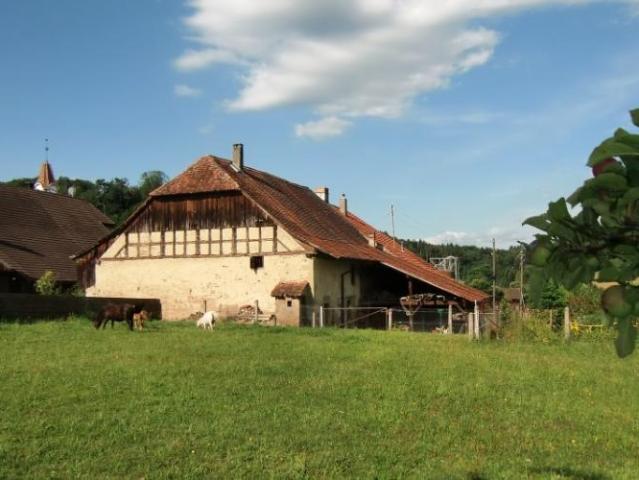 Haus kaufen in Avenches, Waadt