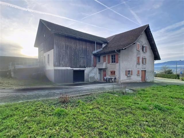 Atelier kaufen in Chavornay, Waadt