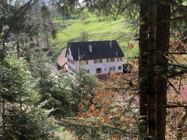Gewerbe kaufen in Nahe, Kreis Segeberg