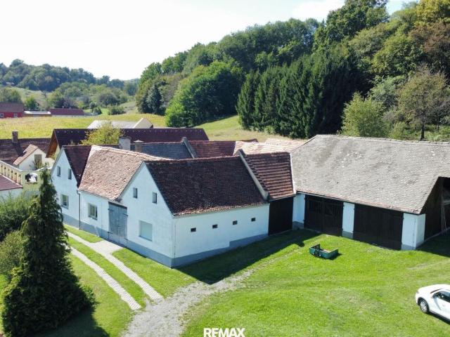Haus kaufen in Fehring, Steiermark