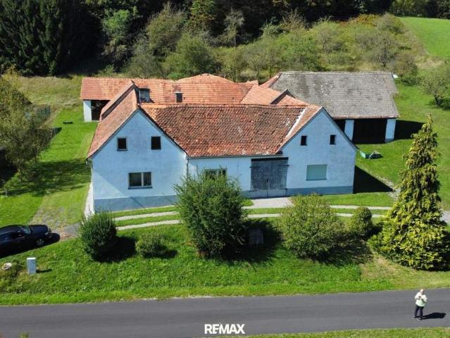 Haus kaufen in Steiermark