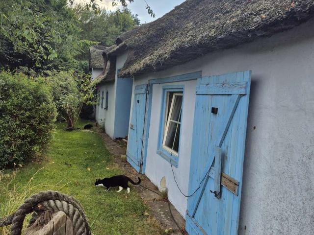 Haus kaufen in Sandacker, Sprakebüll