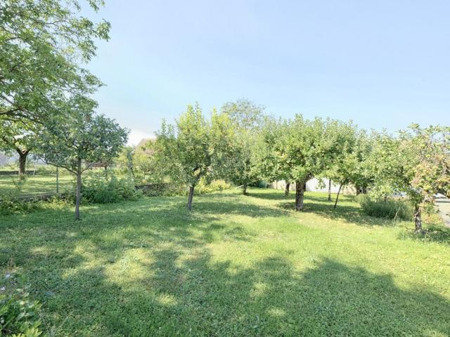 Haus kaufen in Deutschkreutz, Burgenland