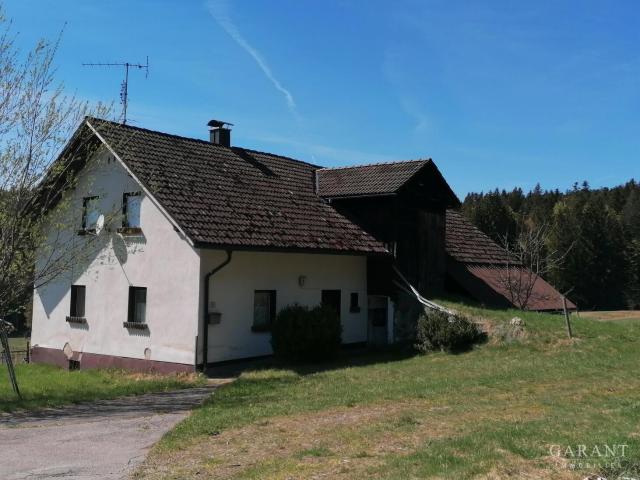 Bauernhaus kaufen in Kirchl, Hohenau