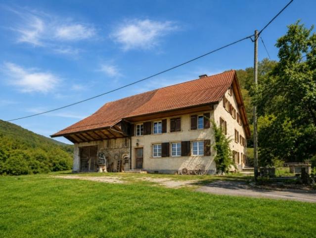 Bauernhaus kaufen in Zeglingen, Basel-Landschaft