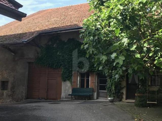Haus kaufen in Chavornay, Waadt