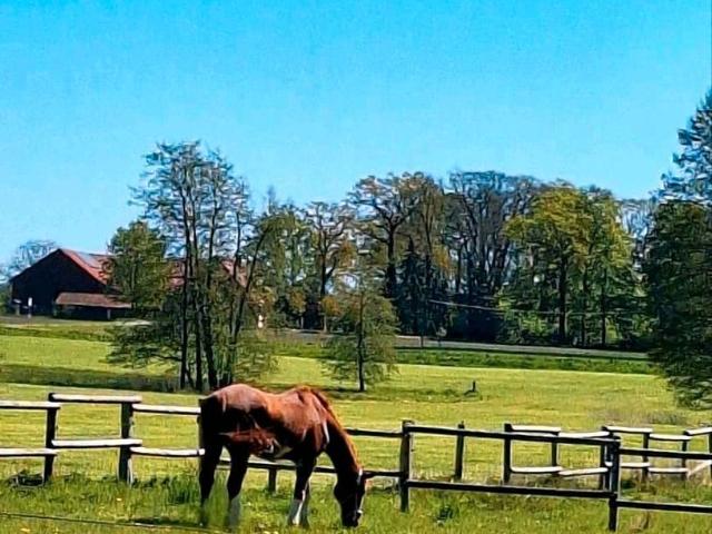 Haus kaufen in Kampsheide, Niedersachsen