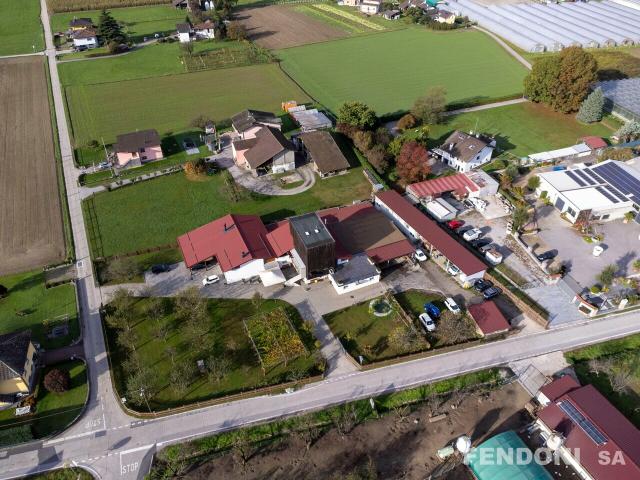 Landwirtschaft kaufen in Cadenazzo, Tessin