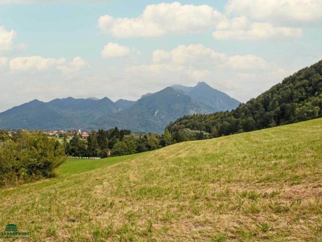Landwirtschaft kaufen