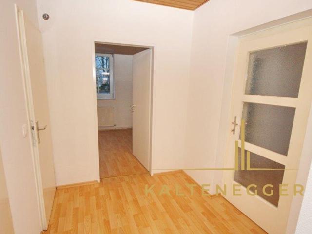 Wohnung kaufen in Seebenstein, Niederösterreich