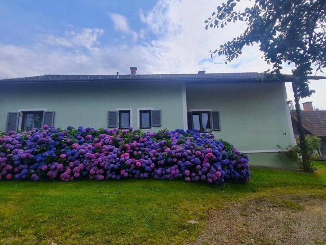 Bauernhaus kaufen in St. Nikolai im Sausal, Mitterberg