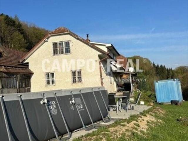 Bauernhaus kaufen in Eschenau, Bezirk Lilienfeld