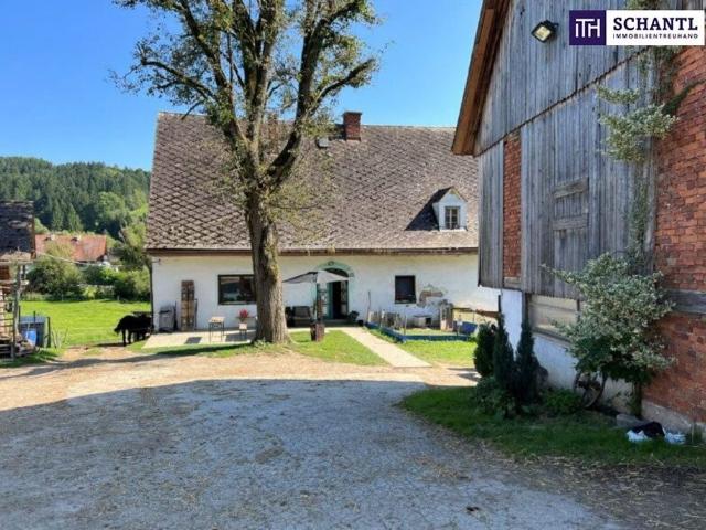Bauernhaus kaufen in Stallhofen